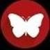 avatar Schmetterlings