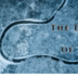Square the dark age of lov fbevent