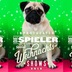 Square newsletter mops