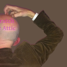 Profile attic basic logo