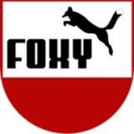Profile foxy logo kl